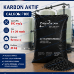 Karbon Aktif Calgon F100