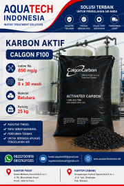 Karbon Aktif Calgon F100