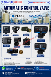 Automatic Control Valve